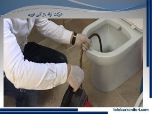 گرفتگی توالت فرنگی
