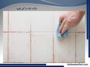 نکاتی درباره تمیز کردن قارچ و کپک سرویس بهداشتی