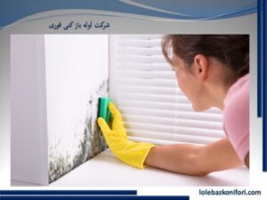 روش های از بین بردن قارچ سرویس بهداشتی