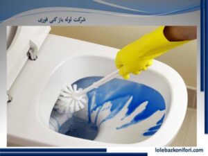 دلایل رشد کپک و قارچ سرویس بهداشتی