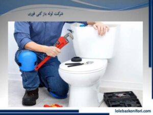 گرفتگی چاه و سیفون توالت