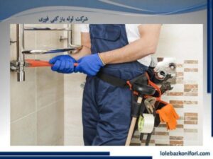 لوله بازکنی در بلوار فردوس